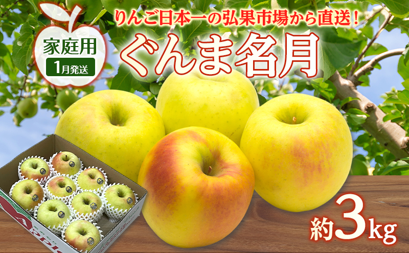 りんご 【 1月発送 】 家庭用 ぐんま名月 約 3kg　リンゴ 林檎 青森りんご 糖度 13度 甘い 酸味 デザート フルーツ 果物 お取り寄せ 産地直送 旬 季節限定 弘果物流 青森県 西目屋村 