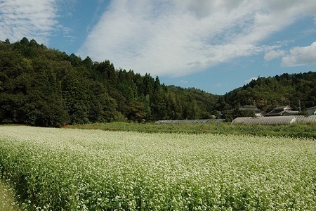 【 年越しそば 予約 】 石臼挽き 自家製粉 瑞穂そば （ にしんそば ） 2人前 つゆ付き ≪ 京丹波町産 蕎麦 100％使用 ≫ ※2026年12月発送 ※北海道・沖縄は配送不可 [011SK00