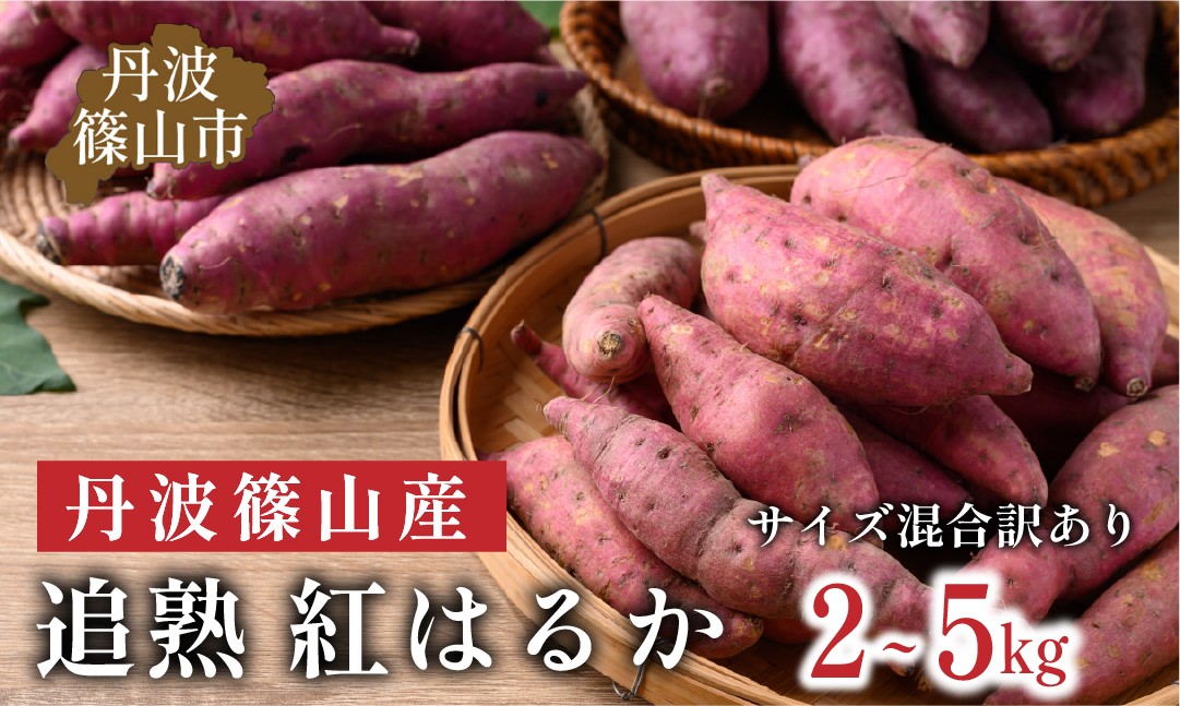
            【訳あり】杉尾農園 丹波篠山産 さつまいも 紅はるか 2kg～5kg　さつまいも 追熟 紅はるか サイズ混合 （M〜2L）焼き芋 天ぷら さつま芋 さつまいも
          