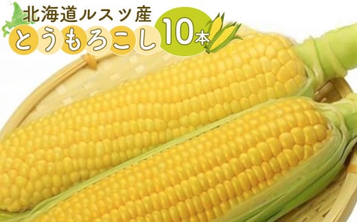 ≪先行予約≫ ルスツ産 とうもろこし トウモロコシ とうきび スイートコーン 恵味 めぐみ 10本 数量限定 北海道 留寿都村 ルスツ ふるさと納税 オンライン 野菜 季節 オンライン限定 限定 季節