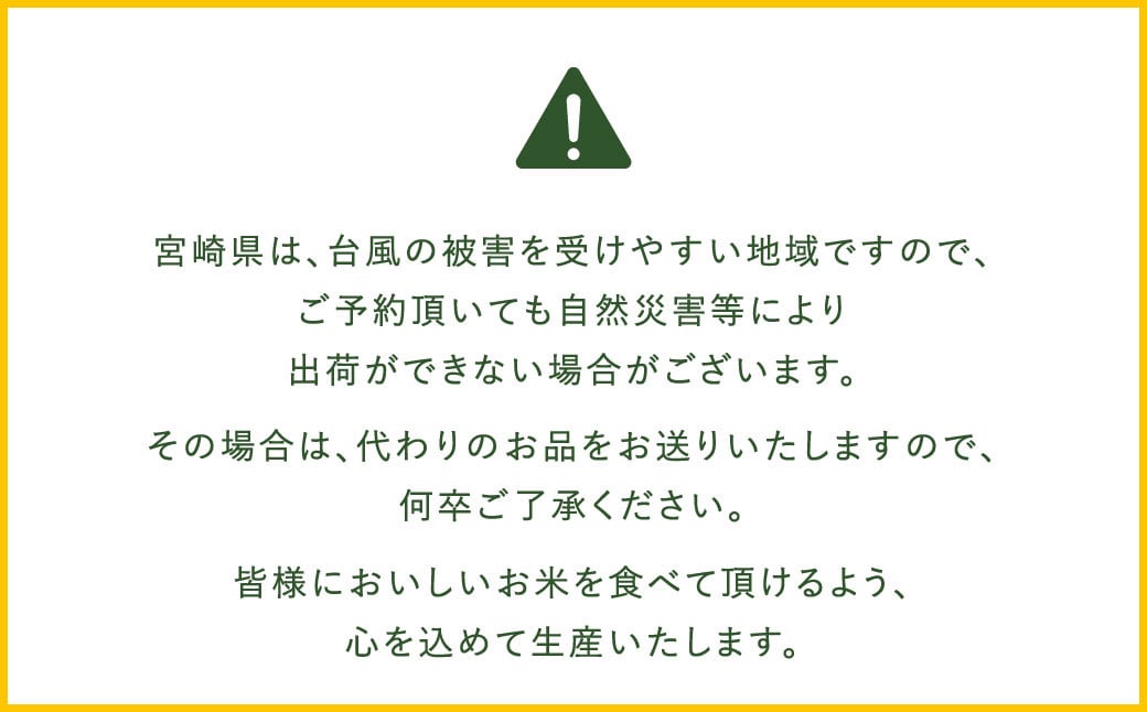【3か月定期便】無洗米 ＜チャック付＞ 新米 国産 令和8年産 ひのひかり ヒノヒカリ 10kg×3回 宮崎県産 お米 白米 おすすめ 簡単 ご飯 弁当 精米 おにぎり