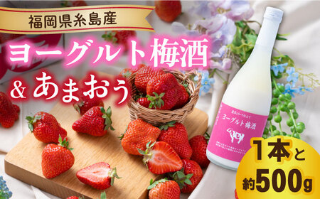 【先行予約】【春】ヨーグルト梅酒720ml ×あまおう 約250g×2パック 【2026年2月上旬以降順次発送】 糸島市 / 南国フルーツ株式会社 [AIK013] 梅酒 梅酒 梅酒 梅酒 梅酒 梅酒 梅酒 