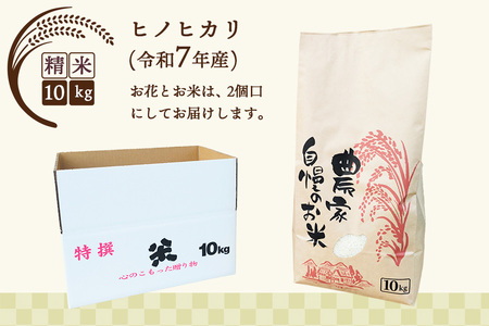 【先行受付11月20日より発送 数量・期間限定】 鉢花 シクラメン レッド6号鉢×1鉢＋ヒノヒカリ(精米)10kgセット【ふるさと納税 シクラメン お米】(H069122)