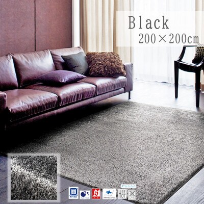 【200×200cm】ネオグラス 　カーペット 　ラグ　　カラー:ブラック【1502451】