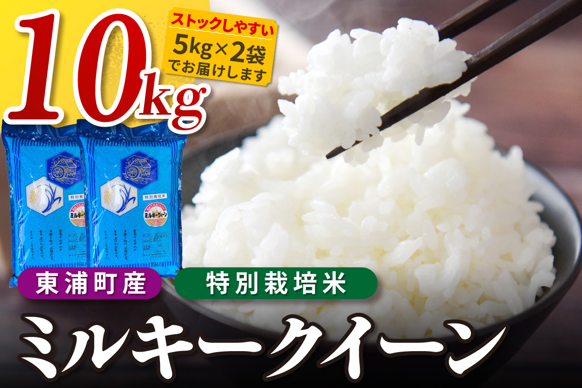 【令和8年度産】東浦町産　ミルキークイーン 10kg（5kg×2袋）｜米  新米 おこめ コメ 精米 ミルキークイーン ミルキークィーン 直送 鈴木農産 愛知県 東浦町