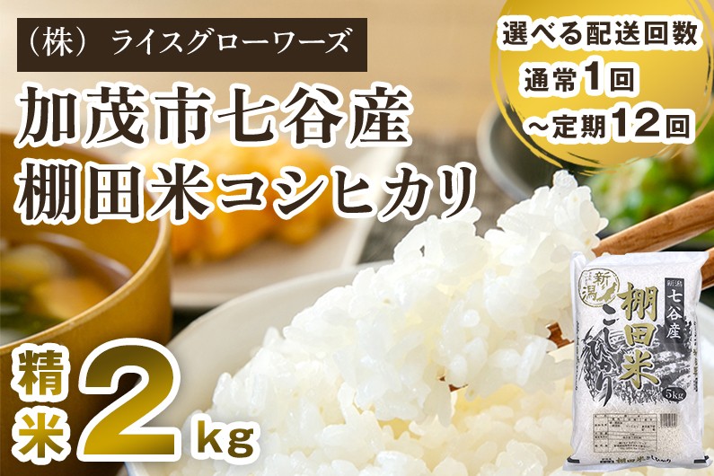
                  【令和7年産】【選べる配送回数】新潟県加茂市 七谷産 棚田米コシヒカリ 精米 2kg 《順次出荷》 定期便 隔月便 白米 （株）ライスグローワーズ
                