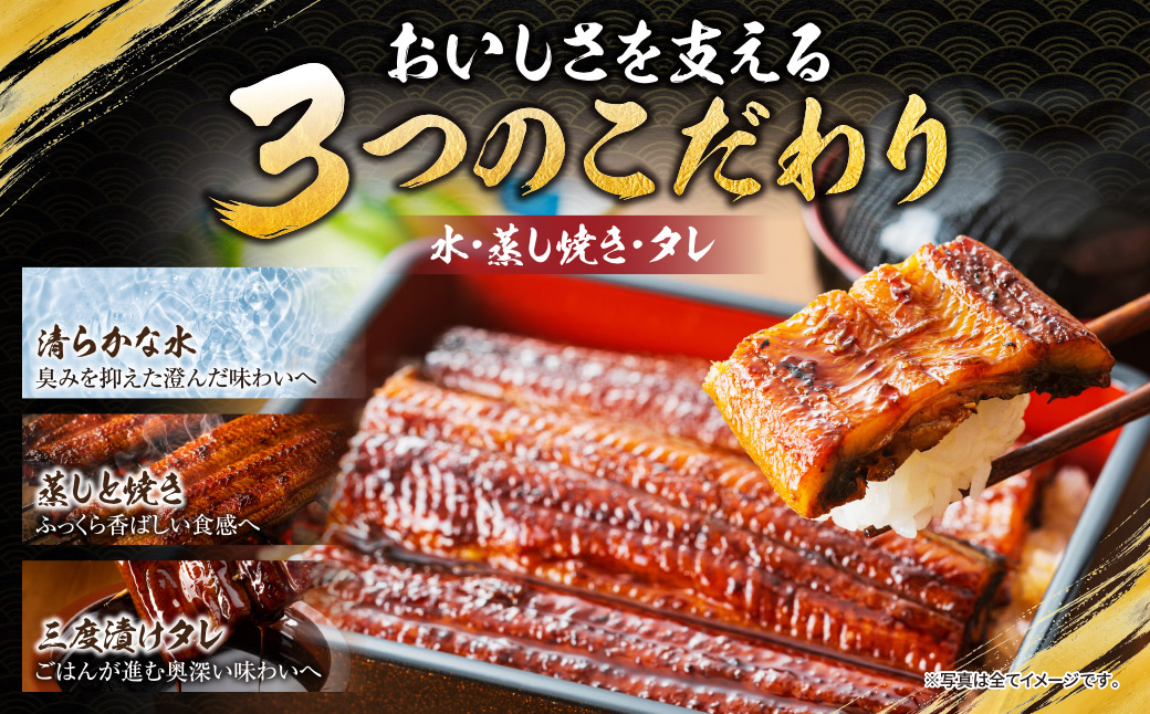 健やか鰻 国産うなぎ蒲焼(無頭)2尾(計310g以上) 定期便(冬発送・12月〜1月・全2回)