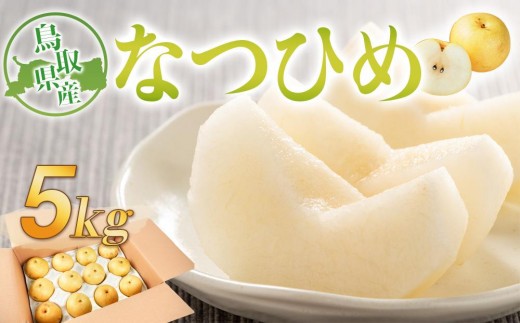 
                  梨 なつひめ 鳥取産 5kg× 1箱｜先行予約 梨 なし 果物 フルーツ くだもの 鳥取県 ナシ なつひめ 青梨  爽やか 季節限定　旬 シャリシャリ ジューシー 自宅用 家庭用 甘い さわやか 爽やか  国産 鳥取県産  お取り寄せ 産地直送 鳥取県 三朝町 送料無料 
                