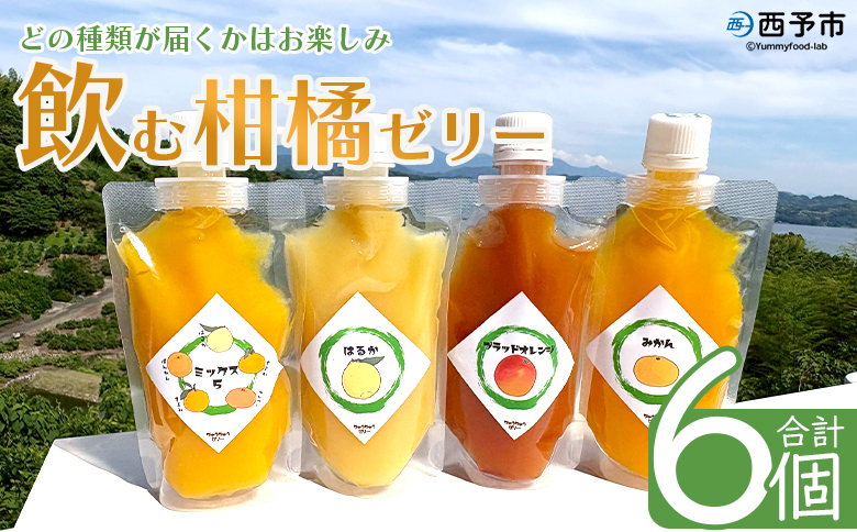 ＜つるんと食感の飲む柑橘ミックスゼリー 6個＞『1か月以内に順次発送予定』果物ゼリー くだもの ゼリー パウチ みかん 蜜柑 デザート スイーツ おやつ のむ ストレート 果汁 100％ 食感 ぷるぷ