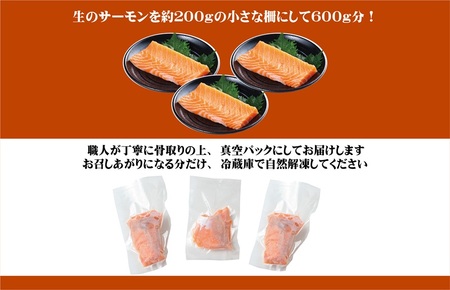 【お試し】アトランティックサーモン 600g