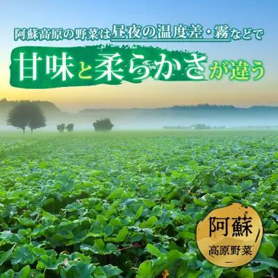 季節のお野菜セットと阿部牧場ののむヨーグルト800ml×2本