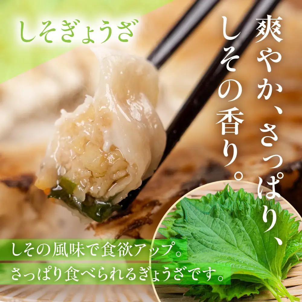 合計70個！専門店の生餃子・しそ餃子