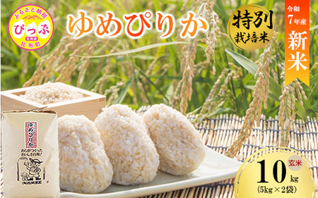 【先行予約】【西間農園】特別栽培米 みがき玄米 ゆめぴりか 10kg【12月から1月上旬発送】JGAP認証農場 米 お米 北海道米 特Aランク 国産 コメ 北海道 比布町 1005-052