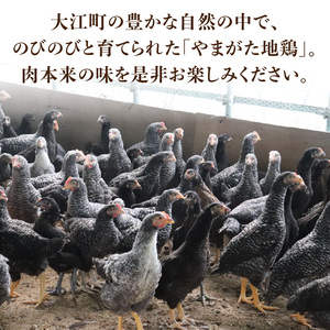 やまがた地鶏 鶏ガラ 060-012