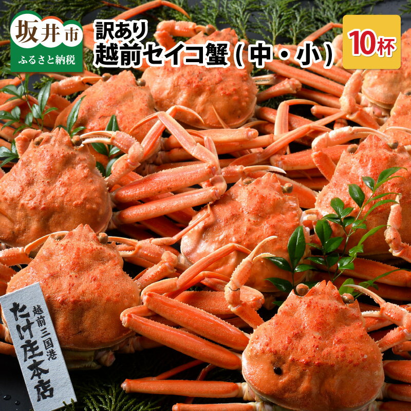 【ふるさと納税】【先行予約】 訳あり かに ≪茹で≫越前セイコ蟹(中・小) 10杯【2025年11月〜12月発送】せいこがに セイコガニ ズワイガニ
