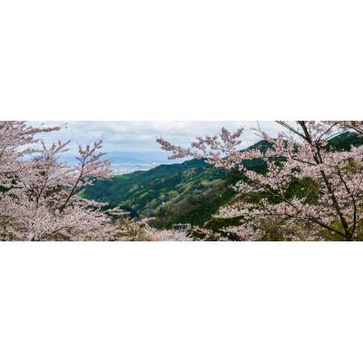 ふるさと納税 天理市 天理の風景1『FLEETING DANCE 〜儚い舞〜』 A4額装プリント