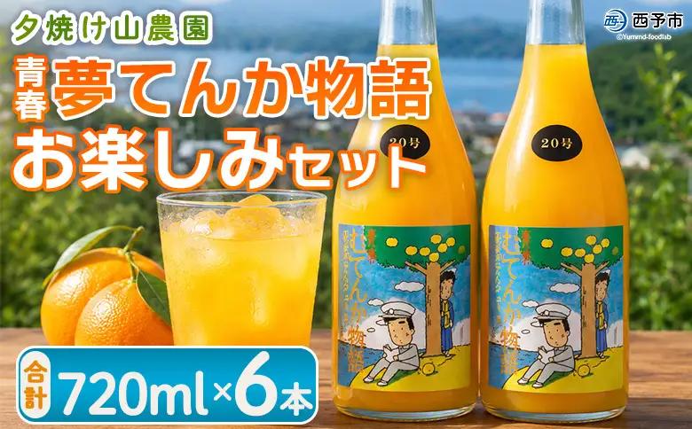 ＜青春 夢てんか物語 お楽しみセット 6本＞『1か月以内に順次出荷予定』ジュース みかんジュース 温州みかん うんしゅうみかん ミックス 柑橘 果物 みかん 蜜柑 ミカン おまかせ お任せ 詰め合わせ 詰合せ 夕焼け山農園 特産品 愛媛県 西予市【常温】AYN0005