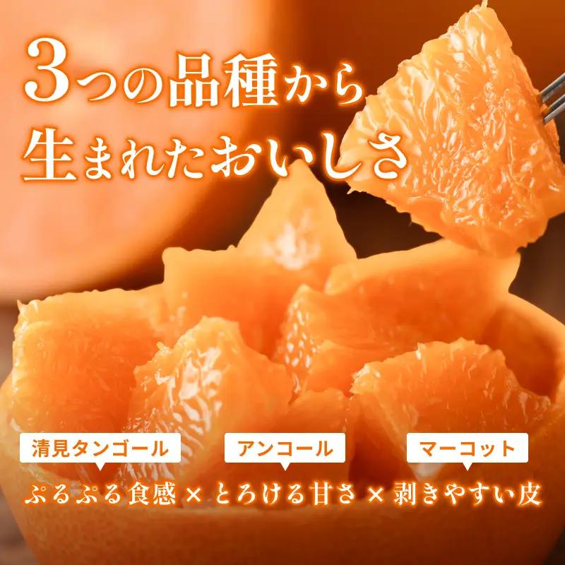 【先行予約】せとか（家庭用）レギュラー箱 約2.5kg