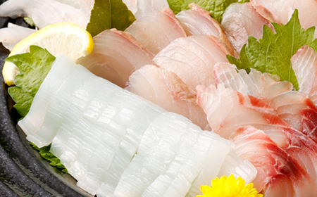 初音のうまいもん！を毎月お届け定期便_冷凍 調理済み 時短 湯せん お弁当 個包装 惣菜 小分け 子供 簡単調理 お取り寄せ 人気 湯煎 お湯ぽちゃ レトルト 温めるだけ [hn069]