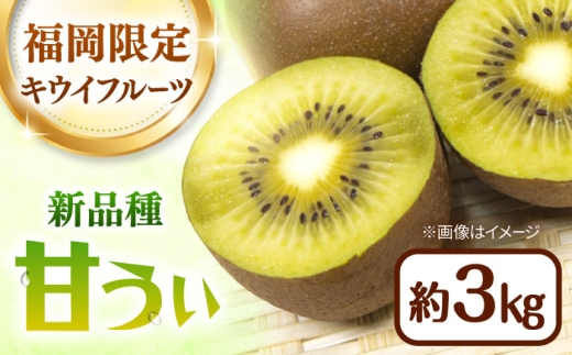 福岡限定品種 キウイ「甘うぃ」約3kg／2026年11月頃より発送予定  ▼キウイ  キウイフルーツ  フルーツ くだもの 果実 先行予約 先行受付  桂川町/一般社団法人地域商社ふるさぽ[ADCF012]