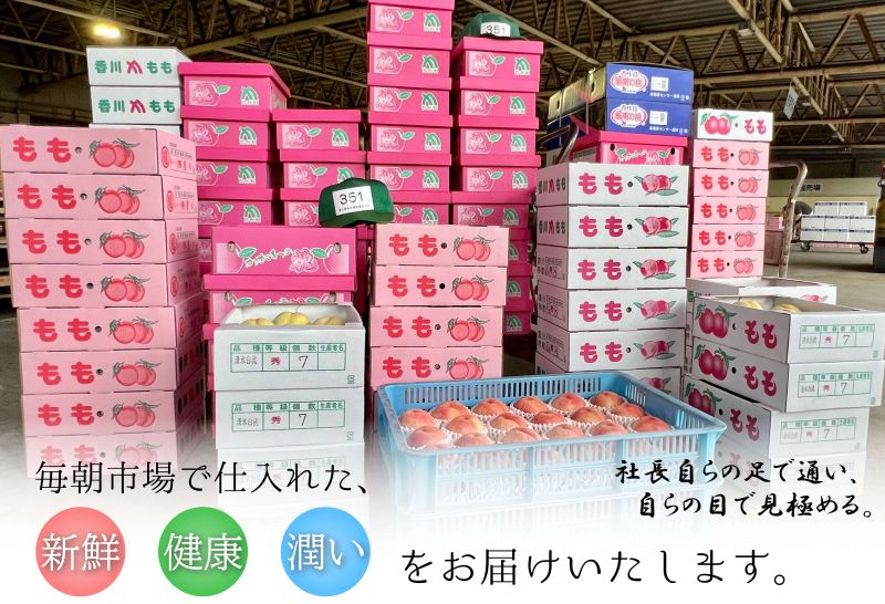 【2026年6月中旬より発送】桃 特秀品 約4kg ( 12～16玉 ) 桃 モモ 飯山 フルーツ 果物 くだもの ジューシー 甘い 果肉 柔らかい 季節 ケーキ ゼリー ジャム ジュース アイス デ