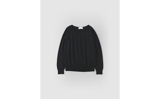 
            レディス　ラウンドネックプルオーバー　長袖（Mサイズ）ブラック[5839-9612]
          