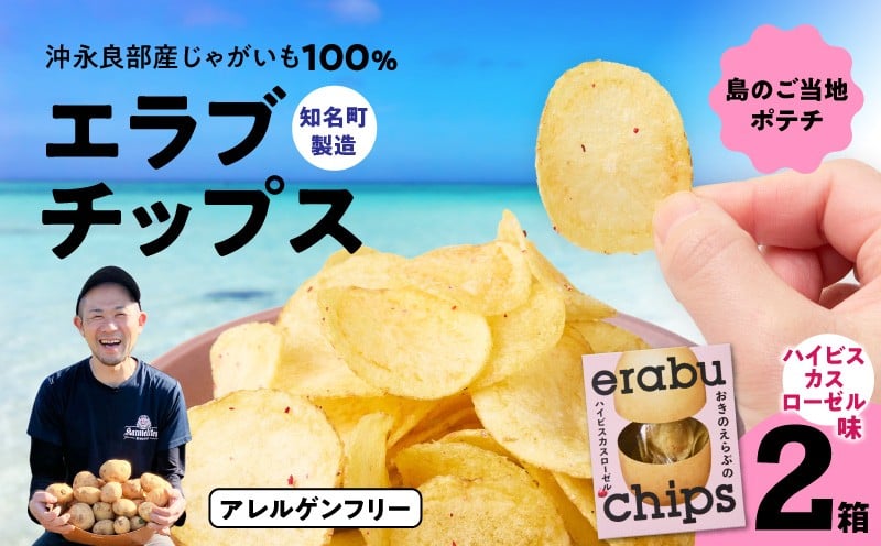 
                  erabu chips（ハイビスカスローゼル） 2箱セット　C068-003-02
                
