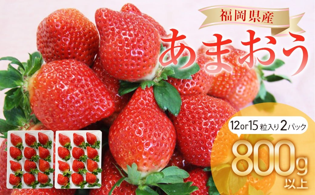 
            福岡県産 あまおう 2パック（合計800g以上） 【2026年1月上旬～3月下旬発送】 苺 あまおう フルーツ 果実 国産 贈り物 福岡産 糸田町
          