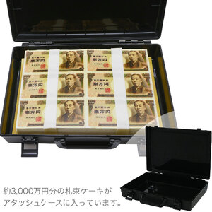 億万長者ケーキ 30×22cm 16から20名様用 冷凍 ケーキ おもしろケーキ