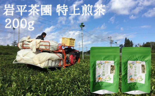 岩平茶園 特上煎茶 100g入り 2パック 計200g (362)