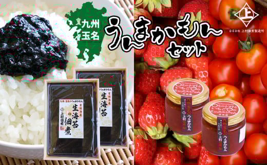 九州・玉名うんまかもんセット | 加工品 瓶詰 ジャム ミニトマト トマト いちご 苺 ミックスジャム 海苔 のり 佃煮 生 生海苔佃煮 セット 熊本県 玉名市
