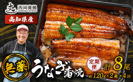 【 うなぎの蒲焼き 】 うなぎの蒲焼 定期便 計8尾 ( 120g × 2尾 × 4回 ) 