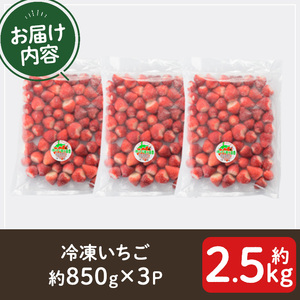 No.1183 ＜先行予約受付中！＞冷凍いちご(計約2.55kg・約850g×3P) 国産 九州産 苺 いちご イチゴ 冷凍 果物 フルーツ 減農薬 アイス【片平観光農園】