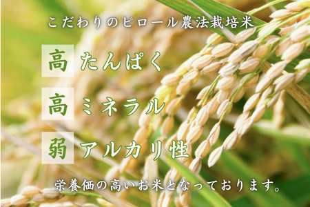 【令和7年産】こだわりのピロール農法栽培米　ピロール米　夢ごこち5kg （精米or玄米）〈数量限定〉