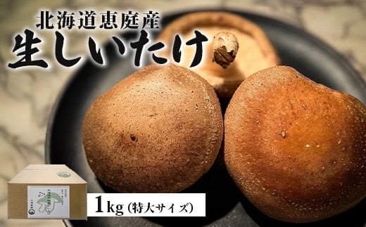 
            北海道恵庭産 生しいたけ 1kg 25個前後 数量限定 特大サイズ オンライン 申請 ふるさと納税 北海道 恵庭 生椎茸 しいたけ 椎茸 菌床 きのこ 栄養満点 肉厚 濃厚 採れたて 野菜 大きい椎茸 恵庭市【800004】
          