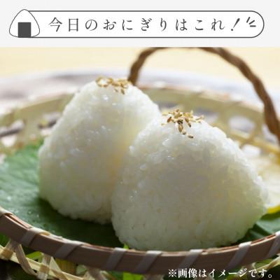 ふるさと納税 江北町 【先行予約】令和7年産 新米 さがびより 精米 5kg【佐賀県江北町産】 |  | 02