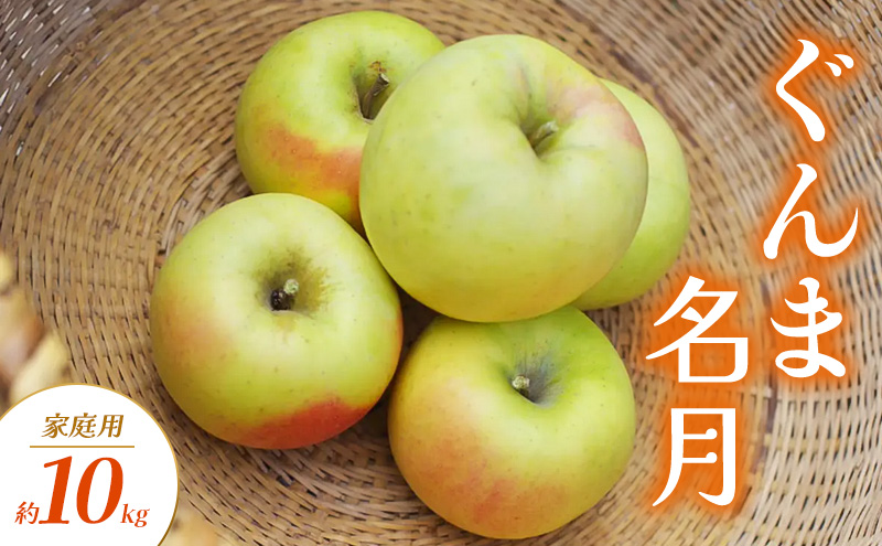 ぐんま名月 家庭用 約10kg りんご リンゴ 林檎 果物 フルーツ 長野県 長野 山ノ内町