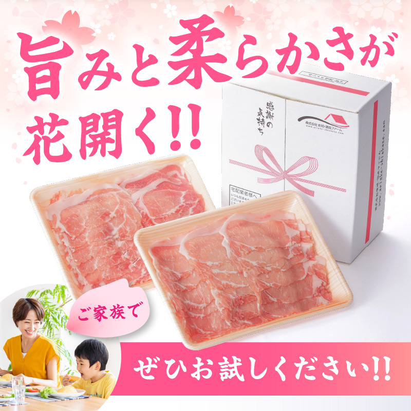 佐賀県産 豚肉 肥前さくらポーク ローススライス 約1.3kg 180-L043