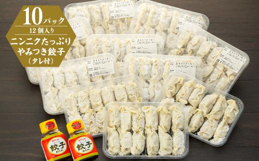 佐多の田中肉屋ニンニクたっぷりやみつき餃子 120個