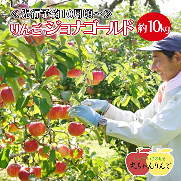 【ふるさと納税】家庭用 りんご ジョナゴールド 約10kg リンゴ 林檎 果物 フルーツ 産直 岩手県 一関市 ≪先行予約10月頃～順次発送≫