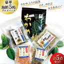 【ふるさと納税】海藻 詰め合わせ 海藻イチオシパック 塩蔵わかめ 80g×1 とろろ昆布 25g×1 焼ばらのり 7g×1 べっこばり 2種 (パリパリめかぶ5g 香りおきあみ8g) [たみこの海パック 宮城県 南三陸町 30ae0021] ワカメ 海苔 ノリ 乾燥