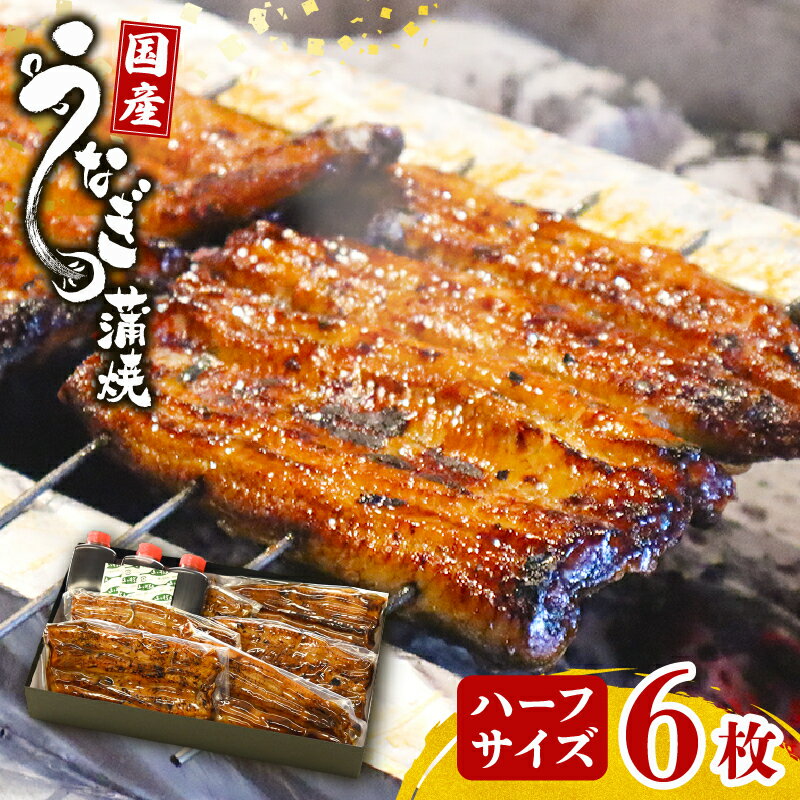 【ふるさと納税】 鰻蒲焼 ハーフサイズ6枚 秘伝のタレ 手焼き 真空パックうなぎ百選店 こだわりの 富士山湧水 ウナギ 土用丑の日 三島 うなぎ 晩ごはん 家族 惣菜
