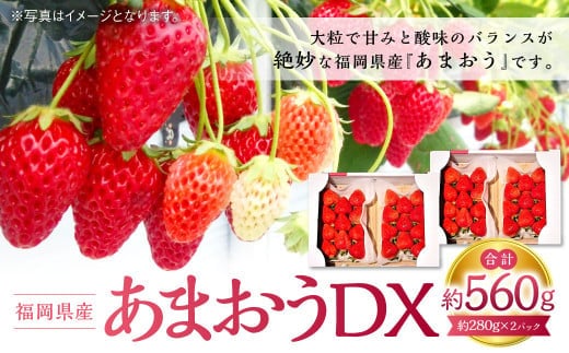 
										
										あまおうDX 約280g×2パック 苺 イチゴ あまおうデラックス あまおう 果物 くだもの フルーツ 【2025年2月上旬~4月上旬発送予定】
									