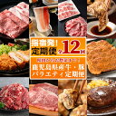 【ふるさと納税】＜定期便！全12回(連続)＞鹿児島県産牛・豚バラエティ定期便 牛 肉 牛肉 5等級 セット 食べ比べ 豚 豚肉 茶美豚 スライス 国産 冷凍 小分け パック おかず 黒毛和牛 和牛 ステーキ ハンバーグ 手ごね 個包装 餃子 ぎょうざ中華 惣菜 定期便