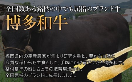 牛肉 訳あり 博多和牛 ヒレ焼肉 600g 牛肉
