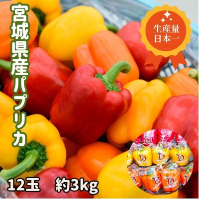 ふるさと納税 宮城県 【宮城県産】パプリカ(赤・黄・橙)12玉　約3kg
