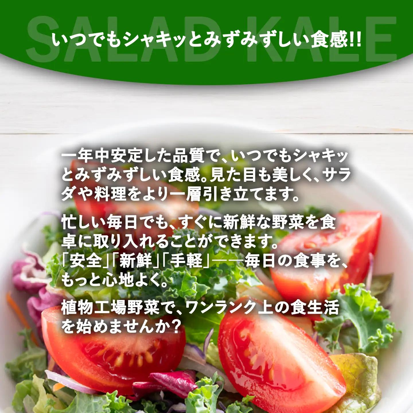 【無農薬】サラダケール 300g（約75g×4P）ケール