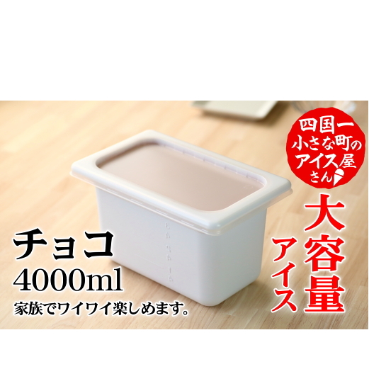 【四国一小さなまちのアイス屋さん】≪松崎冷菓≫大容量アイス 4000ml ★チョコ★ 4l アイスクリーム スイーツ デザート おすすめ 美味しい 高知県 田野町