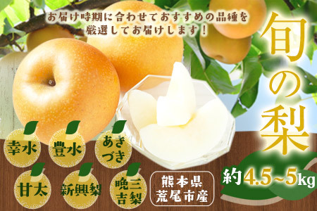 梨 先行予約 旬の梨 約4.5kg～5kgフレッシュフーズ