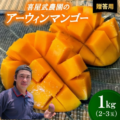 【先行受付・2026年6月から順次発送・贈答用】喜屋武農園のアーウィンマンゴー1kg(2～3玉)【配送不可地域：離島】